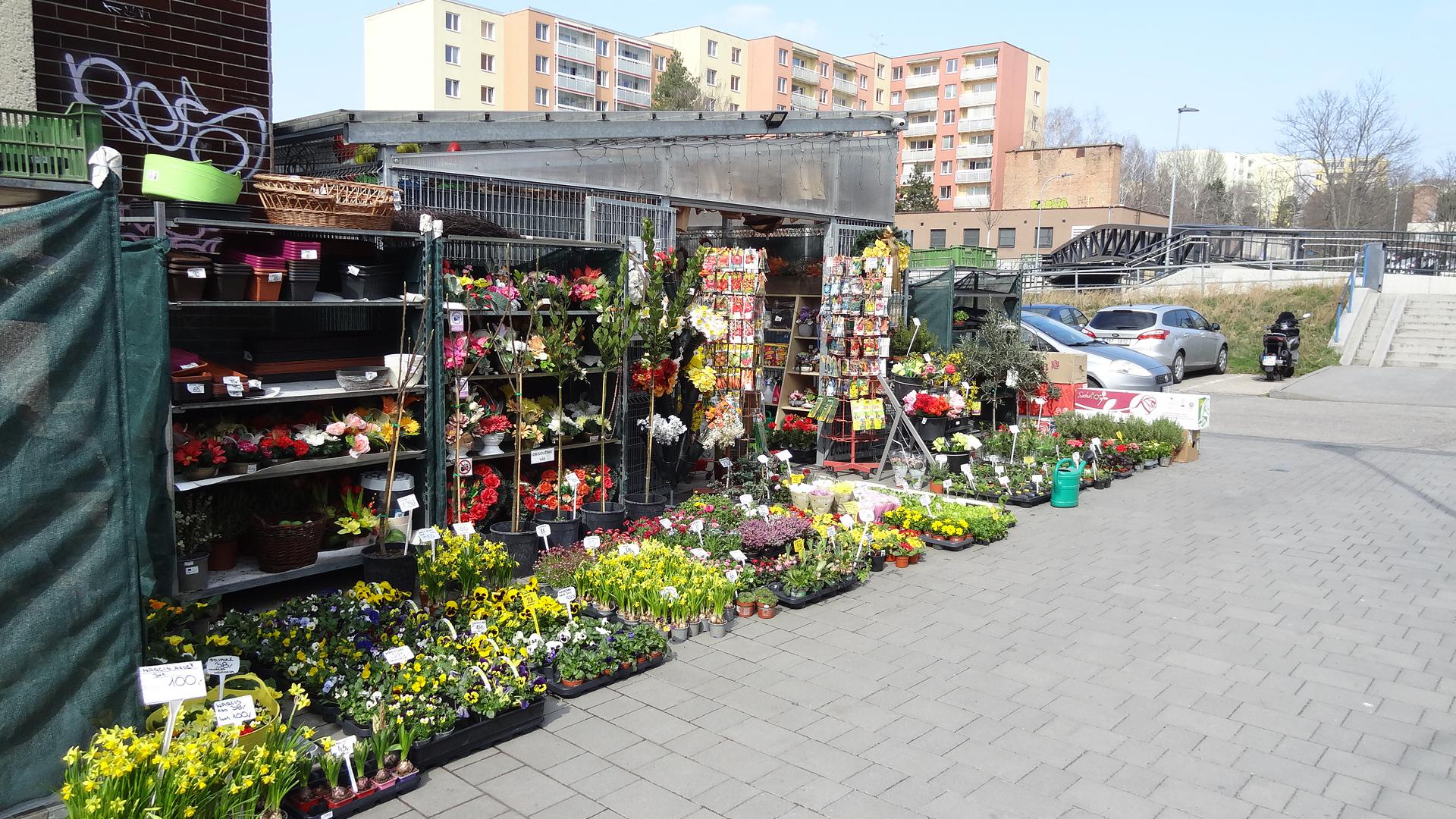 Květiny U Pošty foto 3