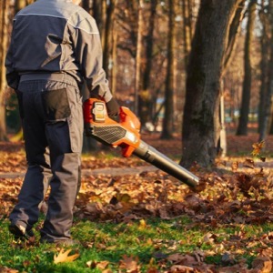 Communal and municipal services