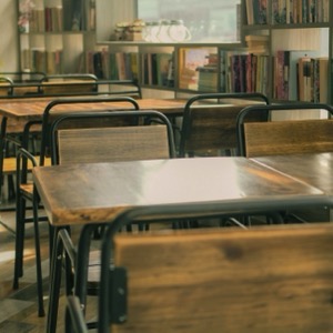 Tertiary professional schools of social services