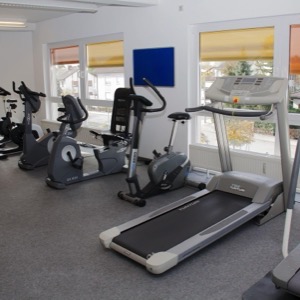 Suppliers of fitness and gym equipment