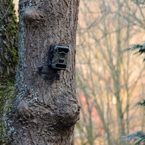 On-line prodej fotopastí