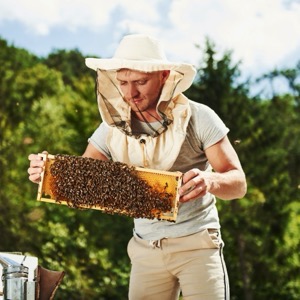Beekeepers' associations