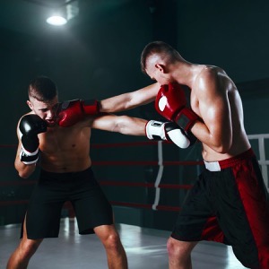 Kluby bojových sportů a boxu