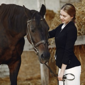 Wholesalers of horse tack and supplies