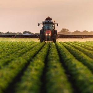 Odbory životního prostředí, zemědělství a lesnictví