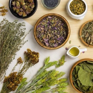 On-line prodej bylinek a bylinných extraktů