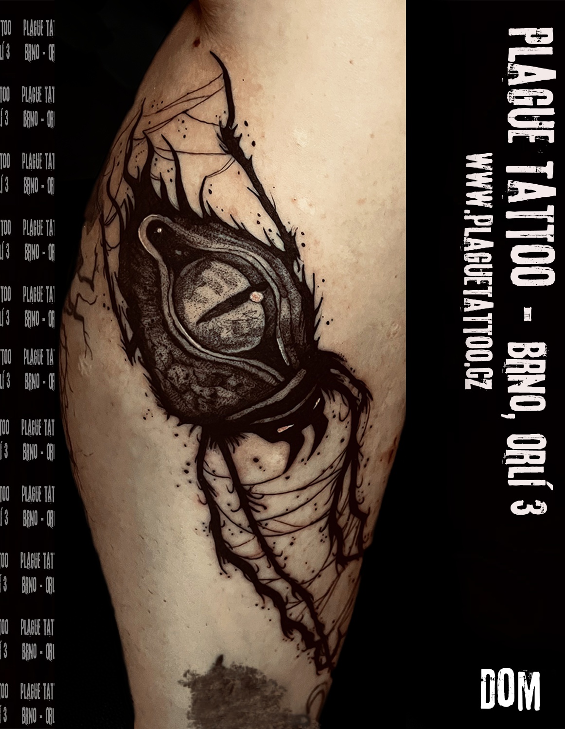 Plague Tattoo foto 6