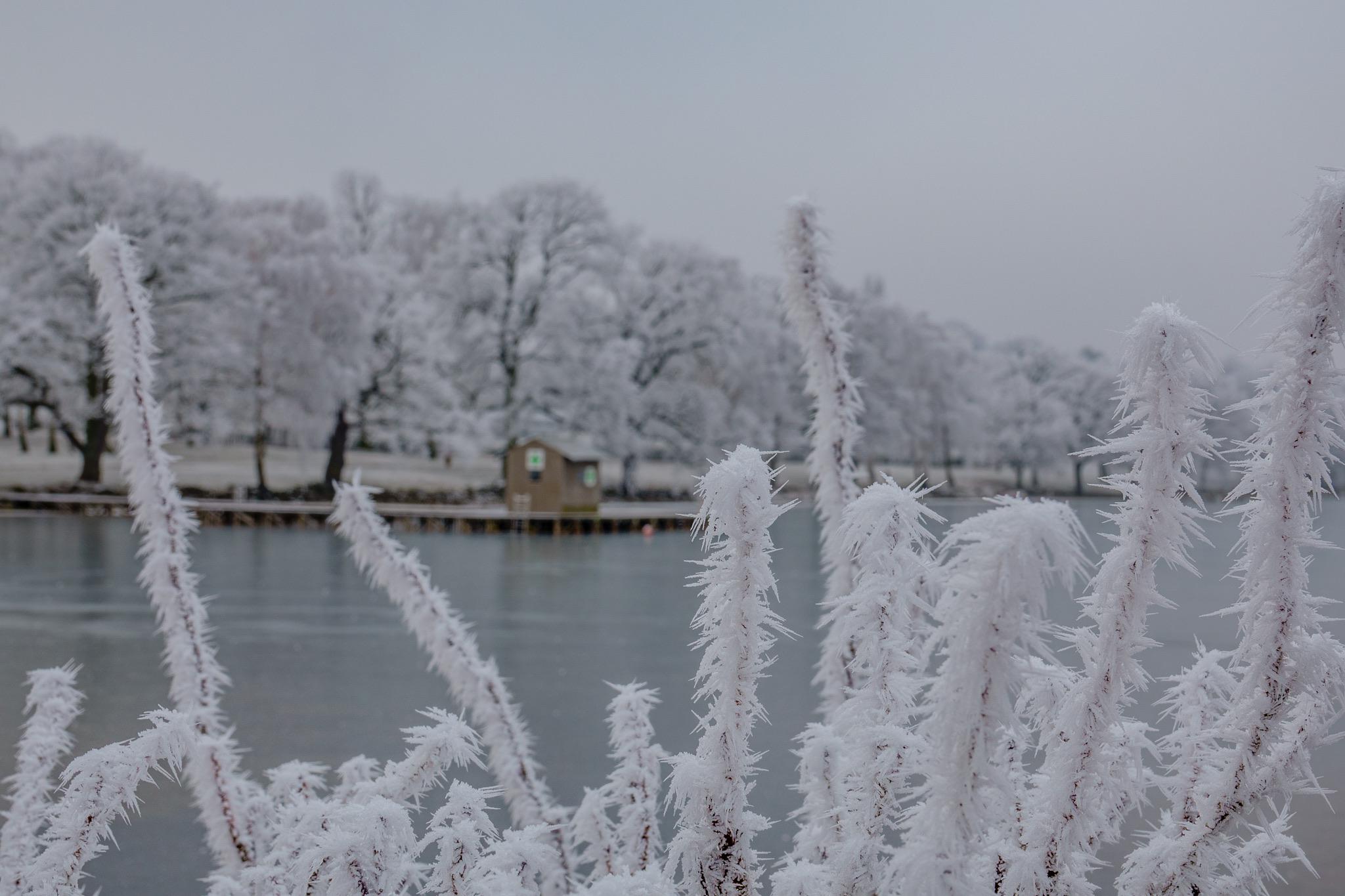 Koupaliště Kamencové jezero foto 6