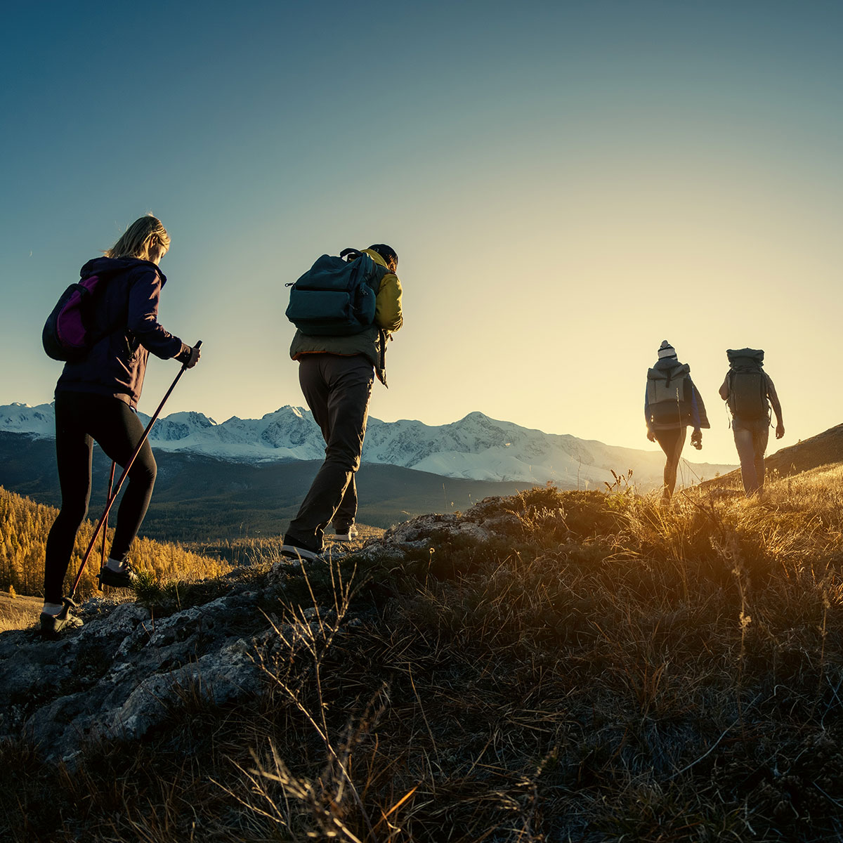 Progress sportswear foto 2