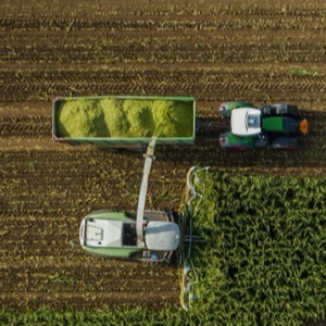 Wholesalers of agricultural commodities