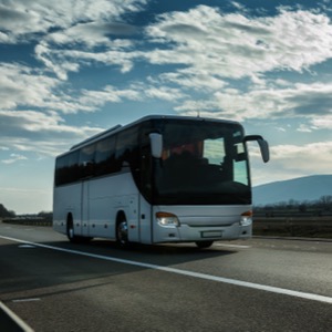 Sellers of buses and trolleybuses