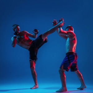 Kurzy bojových sportů