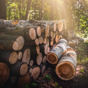 Online sellers of raw materials and semi-finished products