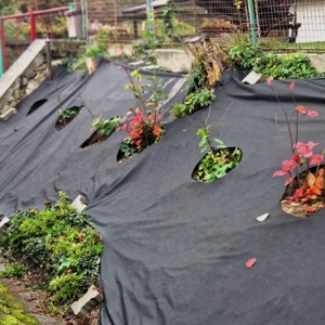 Non-woven textiles and sorbents