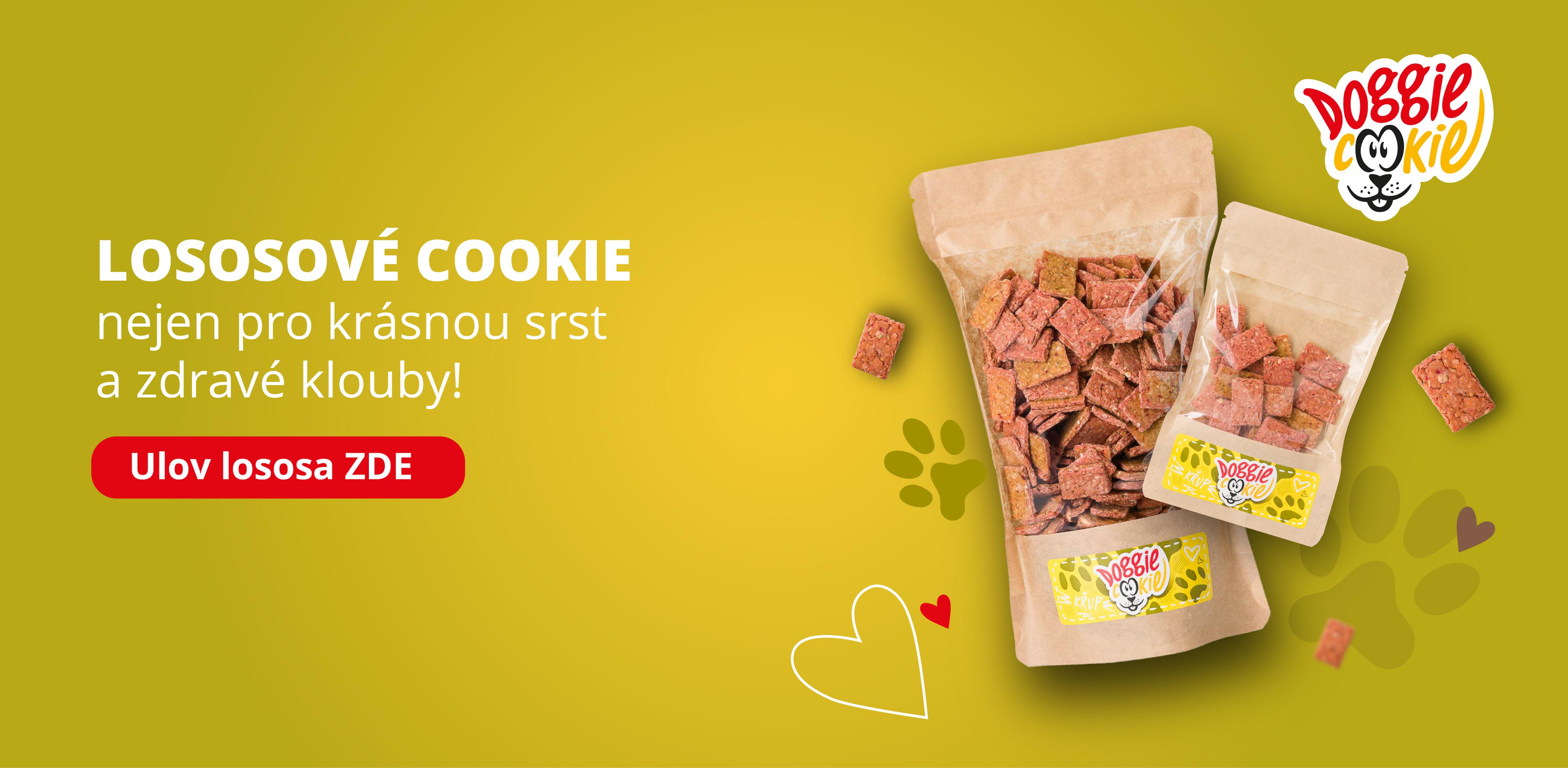 Doggiecookie.cz foto 3