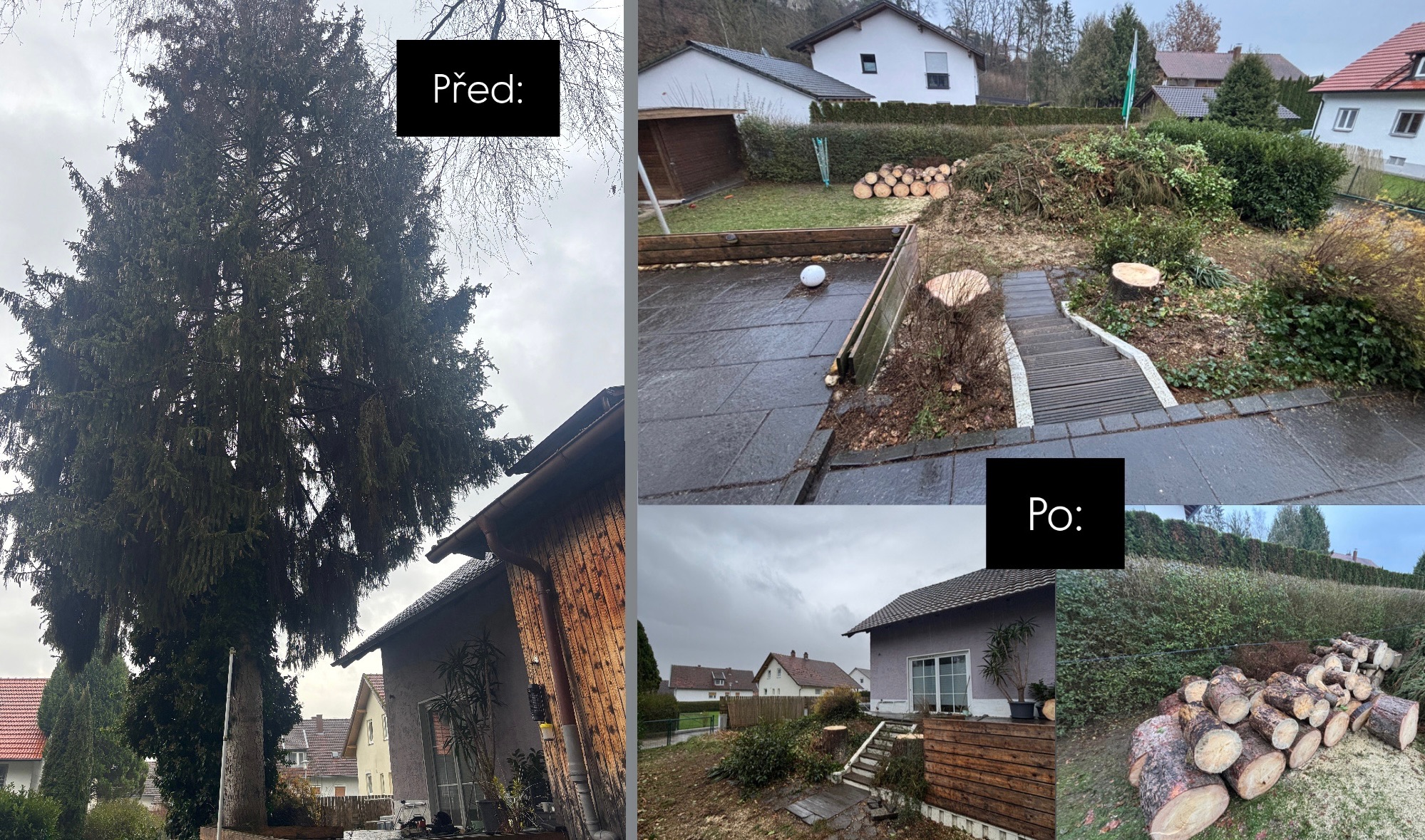 Rizikové kácení Martin Homolka foto 2