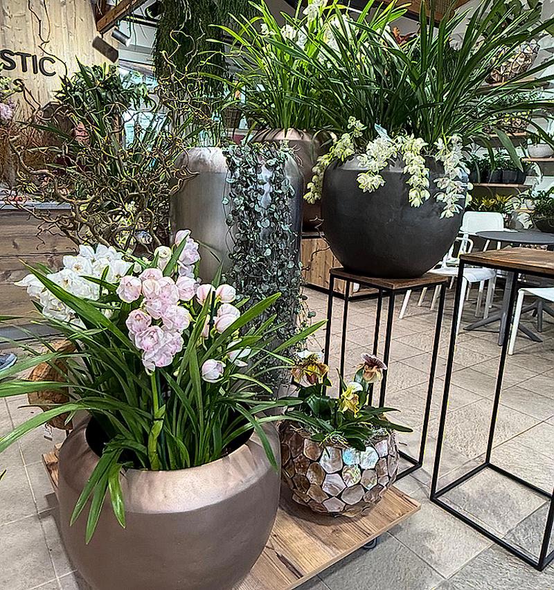 Fantastic Flowers Zahradnictví foto 5