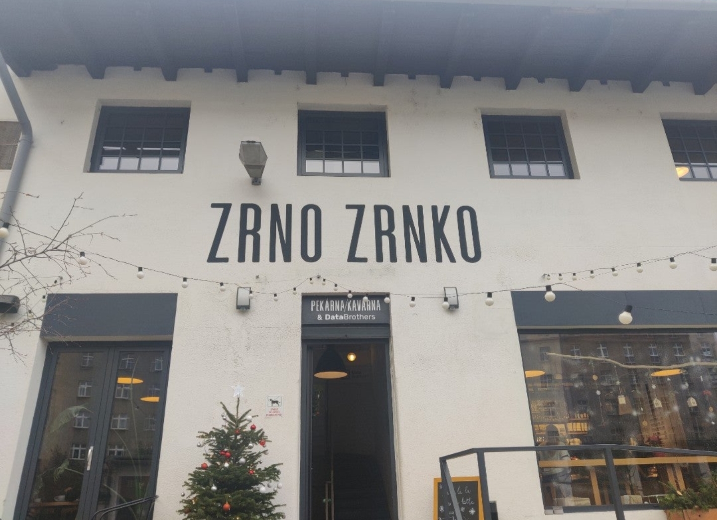 Zrno zrnko foto 4