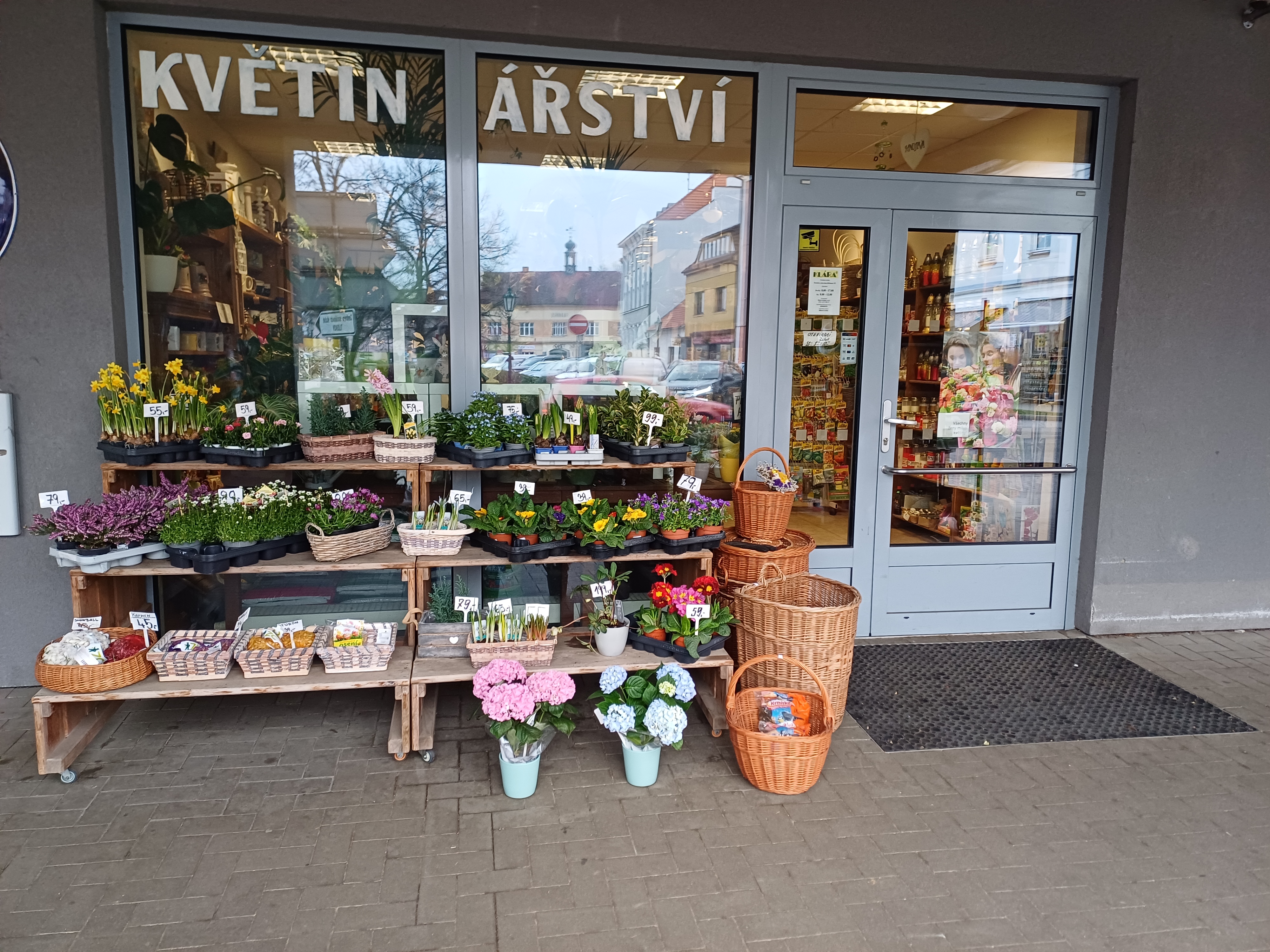 Klára květiny, s.r.o. foto 2