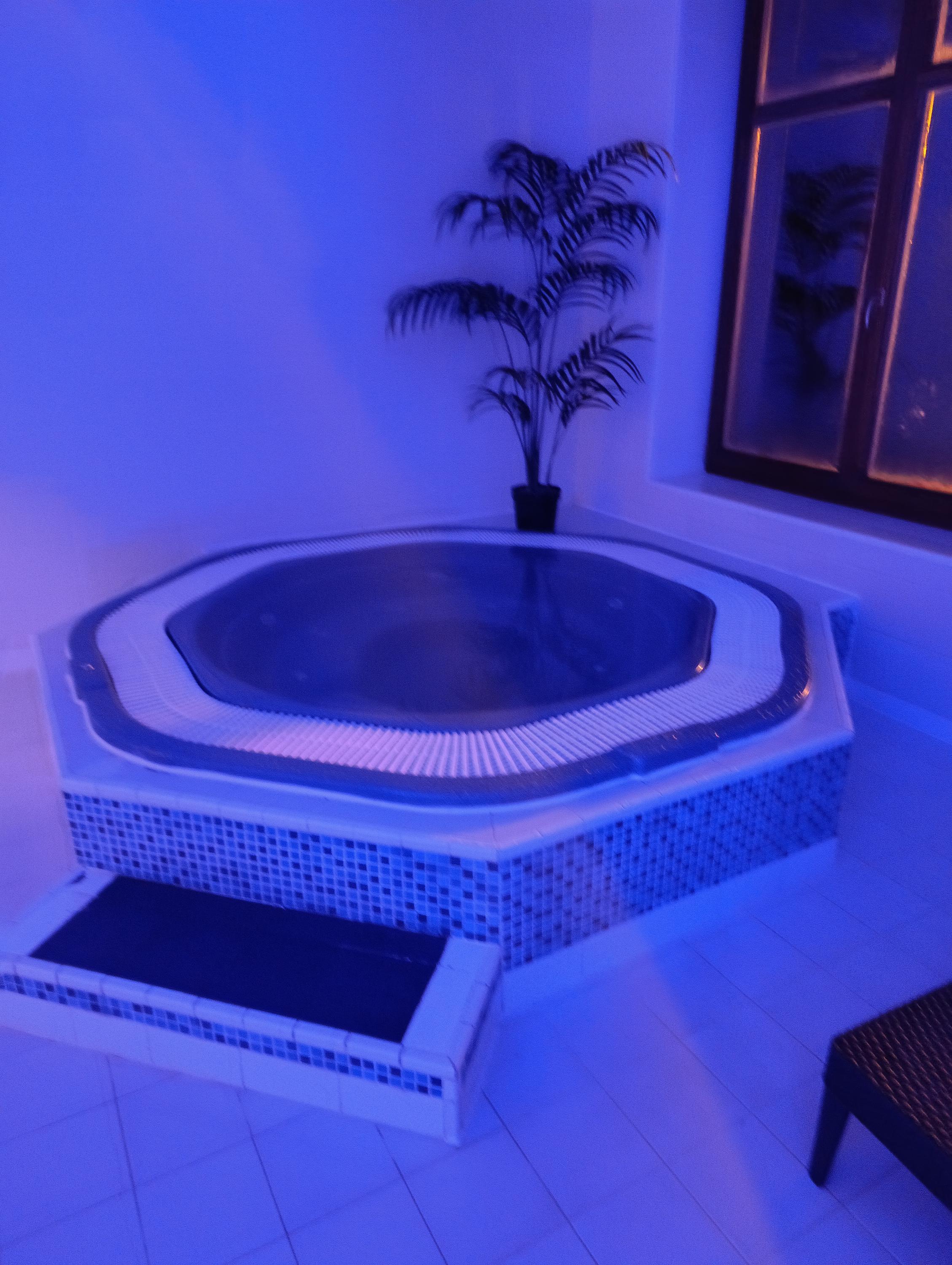 Pytloun Wellness Hotel Hasištejn * * * * foto 4