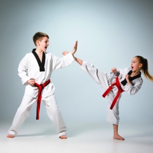 Online sellers of martial arts gear and equipment
