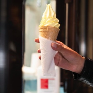 Prodej, pronájem a servis zmrzlinových strojů