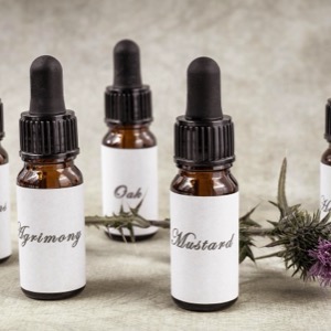 Sellers of homeopathic medicines