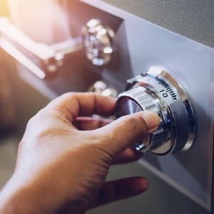 Wholesalers of home security systems