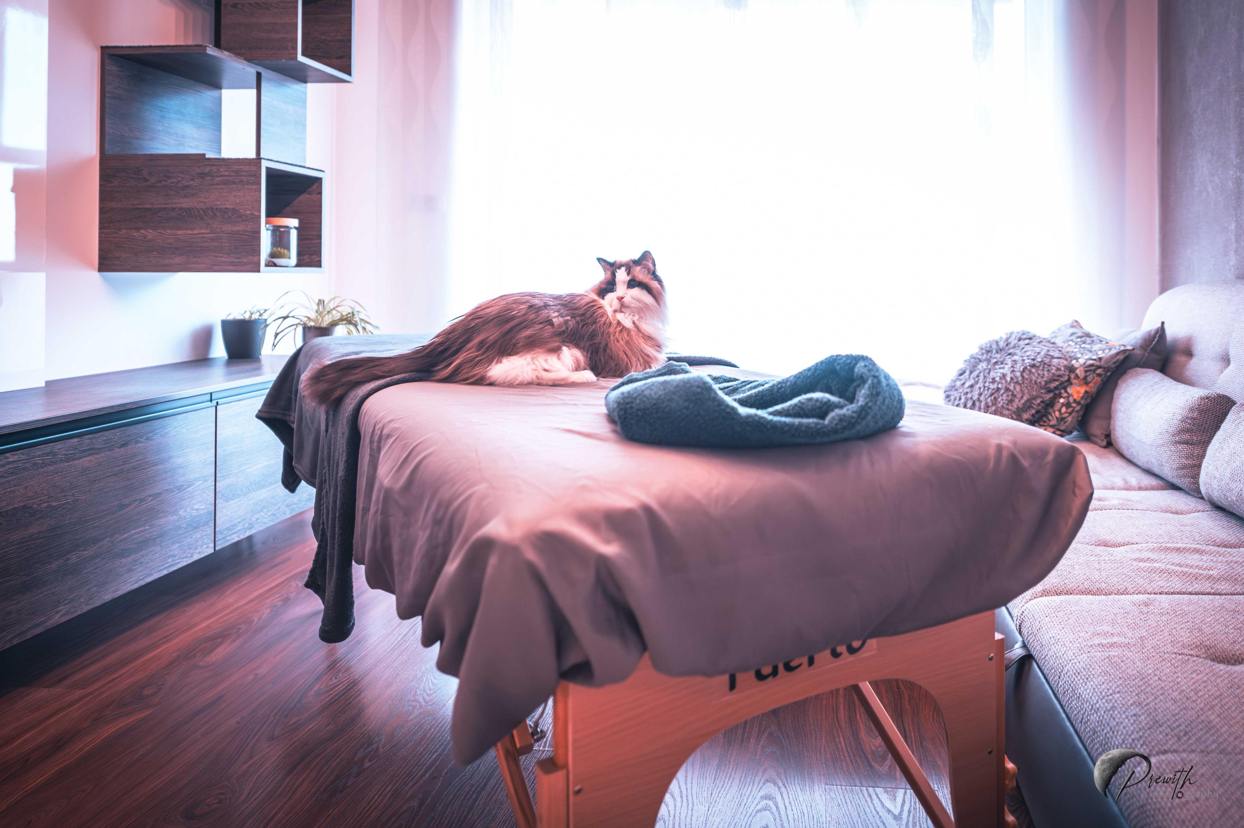 Masérka z povolání foto 4