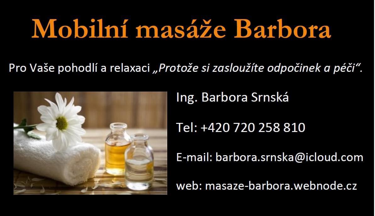 Ing. Barbora Srnská foto 2