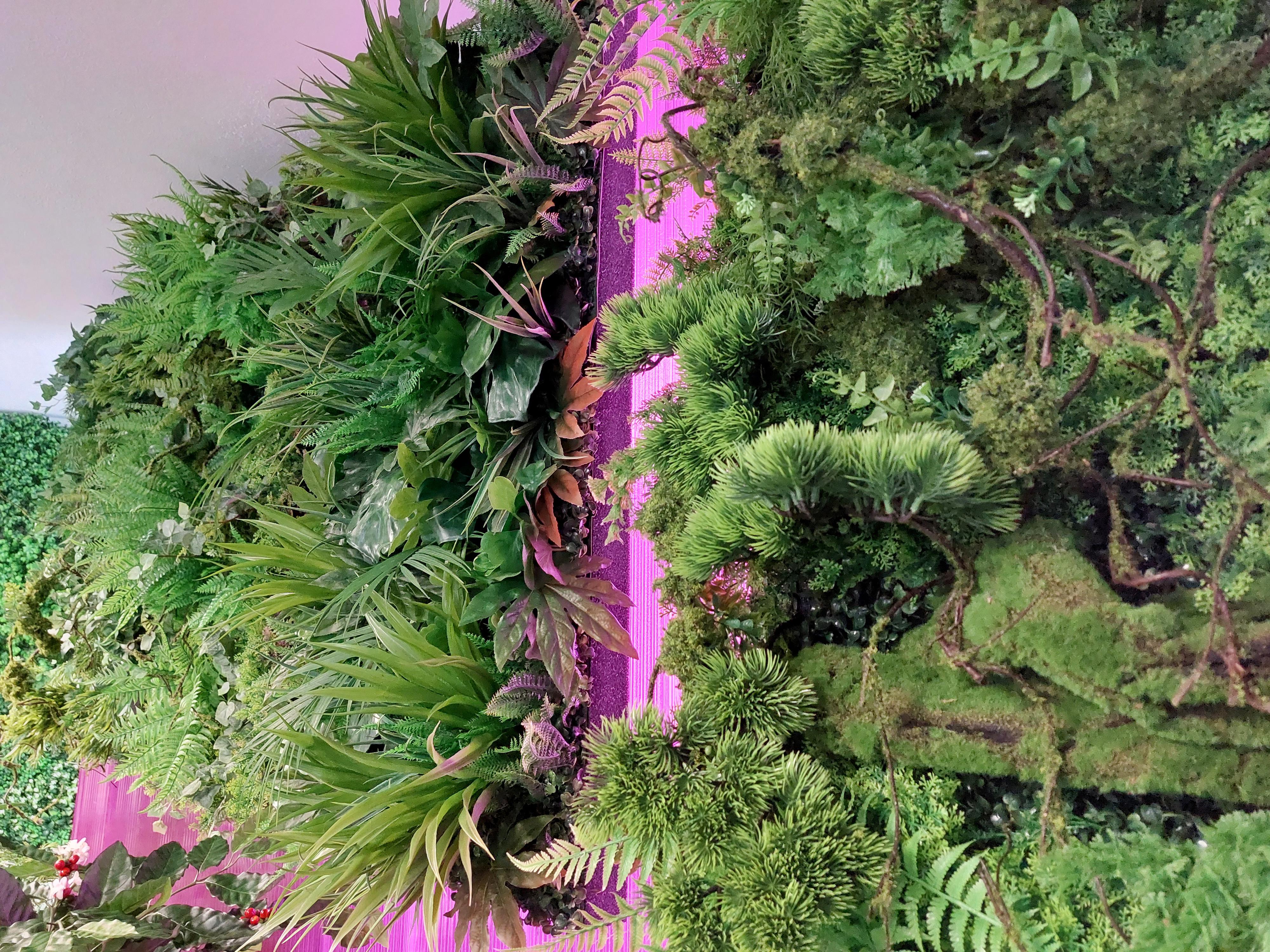 StudioGreen.cz - Umělé rostliny jako živé foto 4