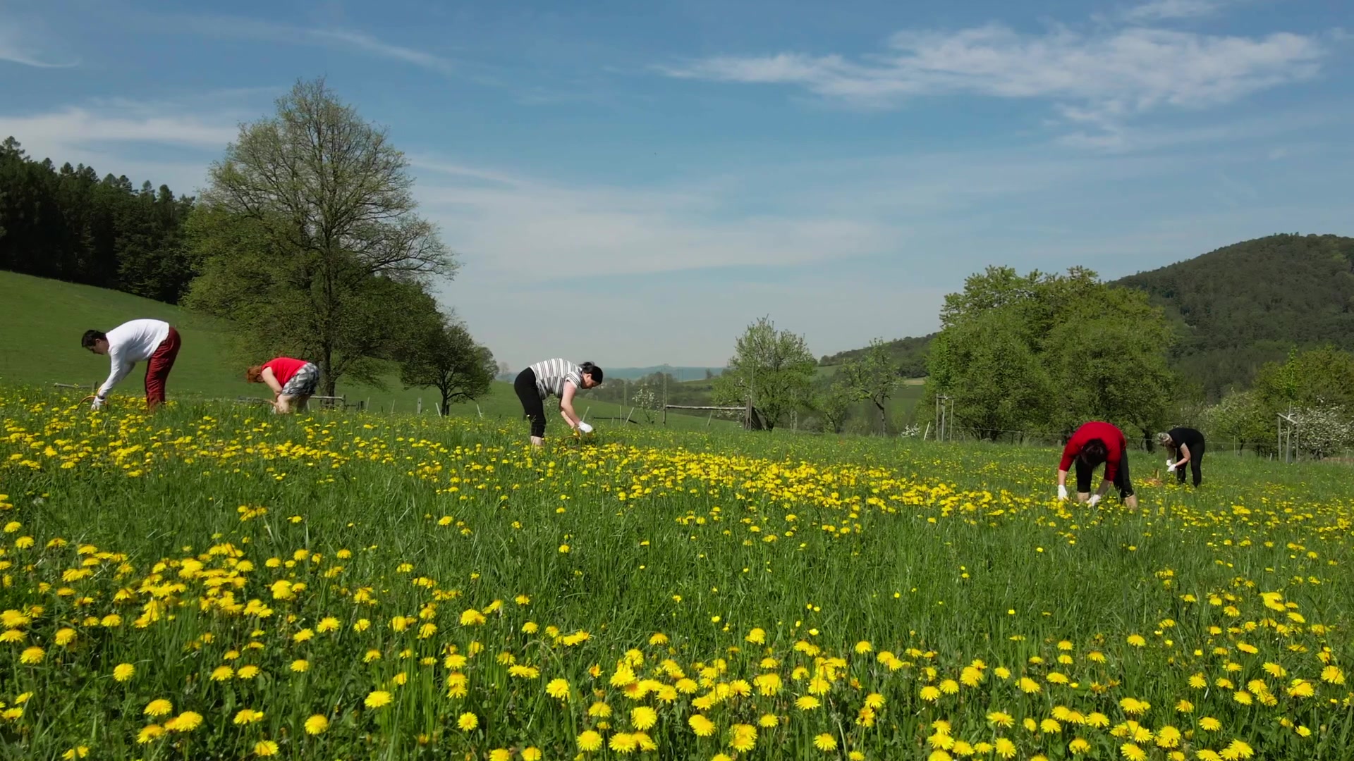 Rodinná konzervárna Via Delicia foto 2 (náhled videa)
