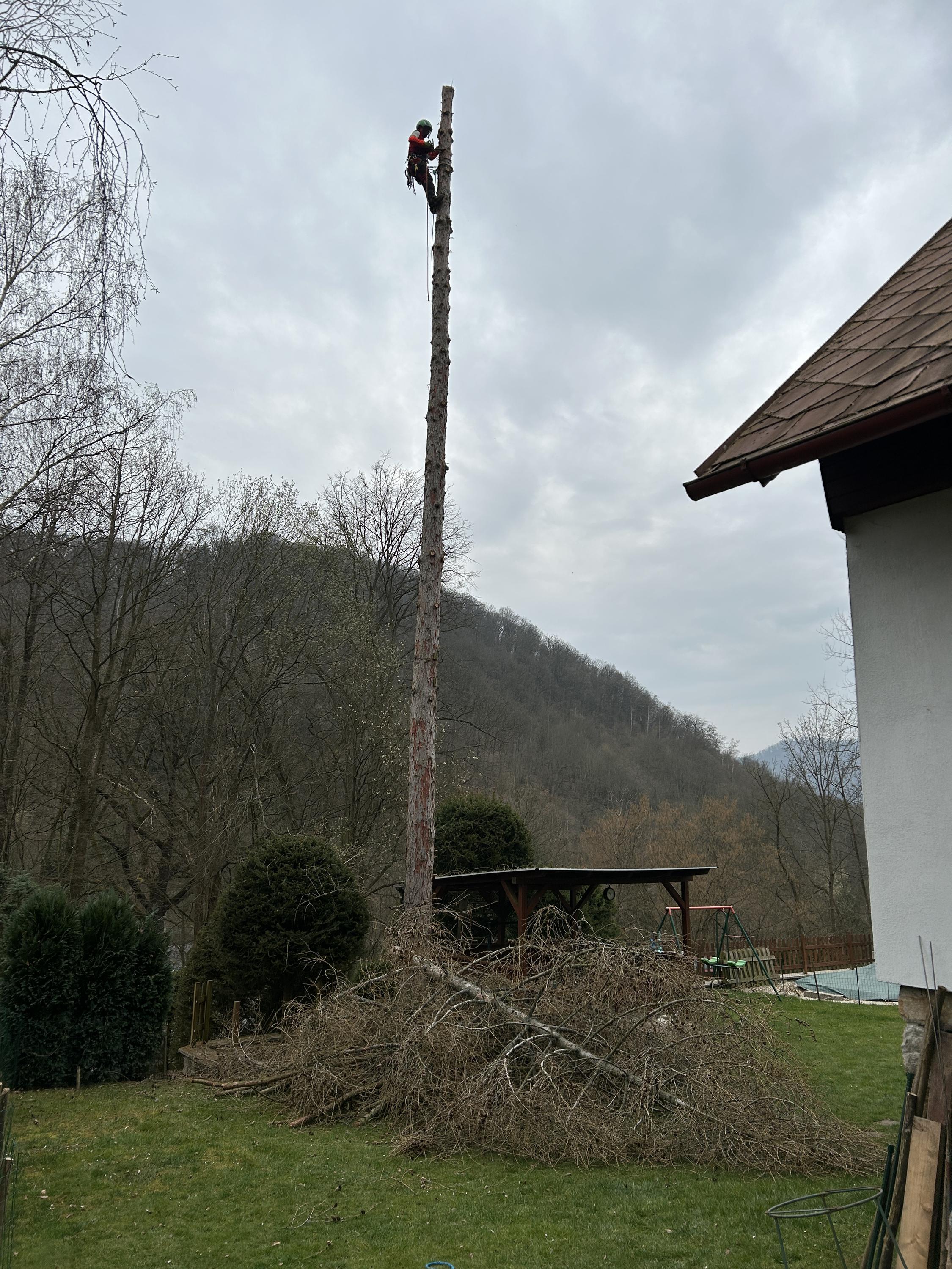 Výškové práce Martin Kolář foto 6