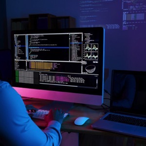 Computer and IT consulting