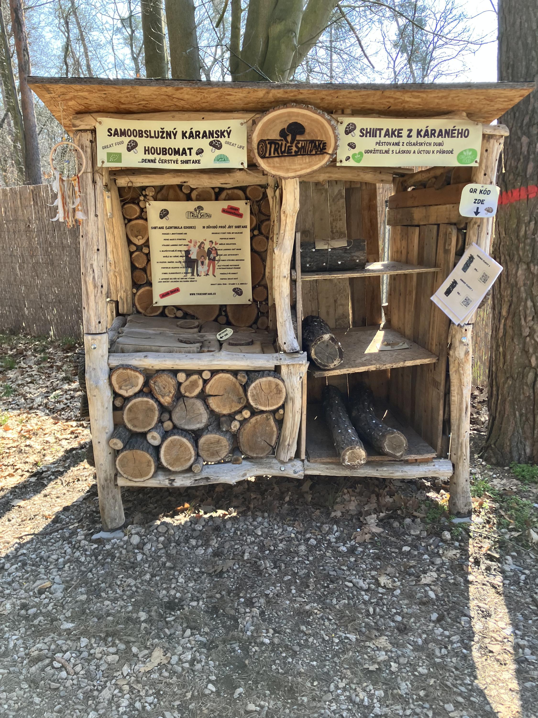 True Shiitake - Houbomat foto 2