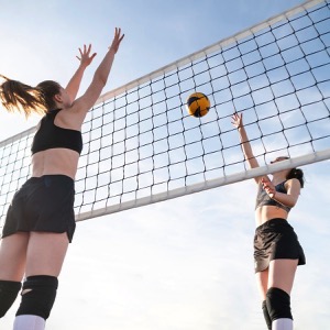 Volleyball clubs and teams