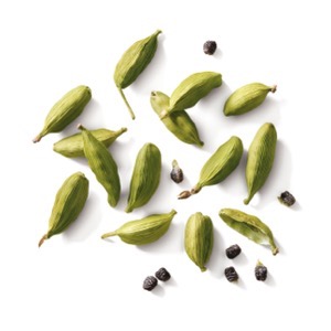 On-line prodej semen