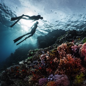 Wholesalers of water sports and diving gear and equipment