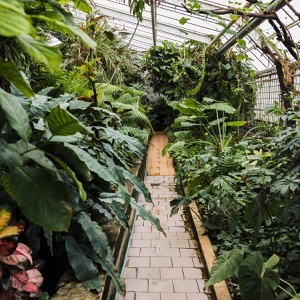 Botanické zahrady a arboreta