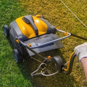 Online sellers of garden machinery