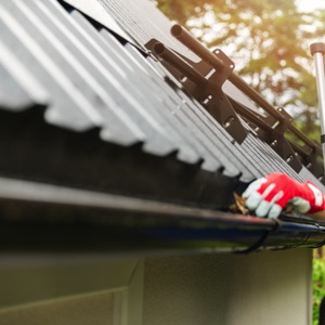 Gutter cleaning