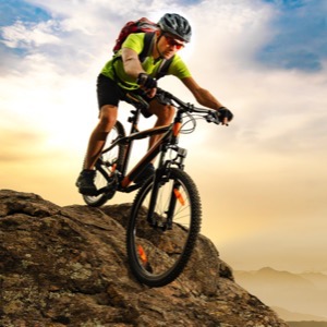 Online sellers of mountain and trekking bikes