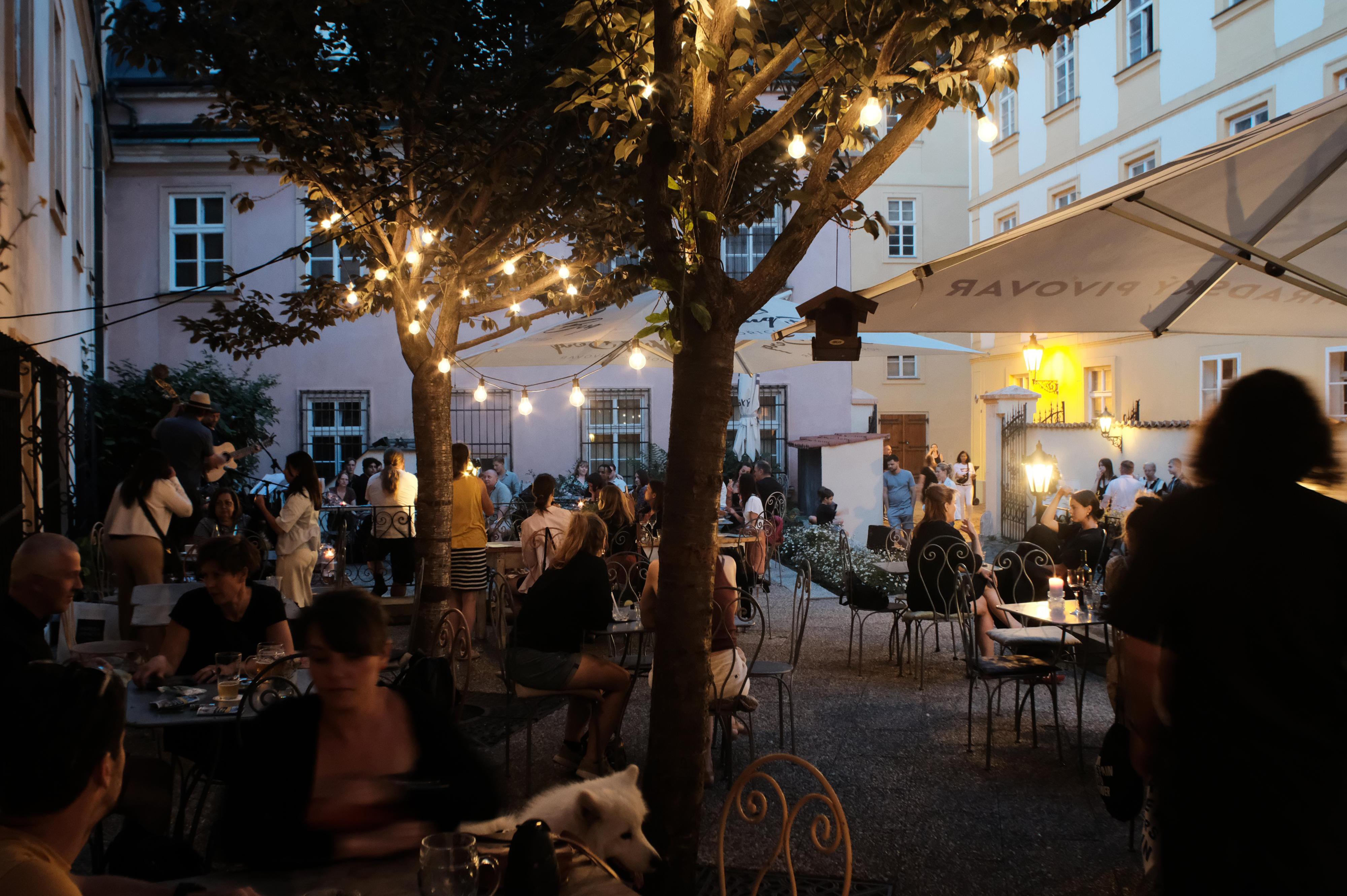 Café Husovka foto 1