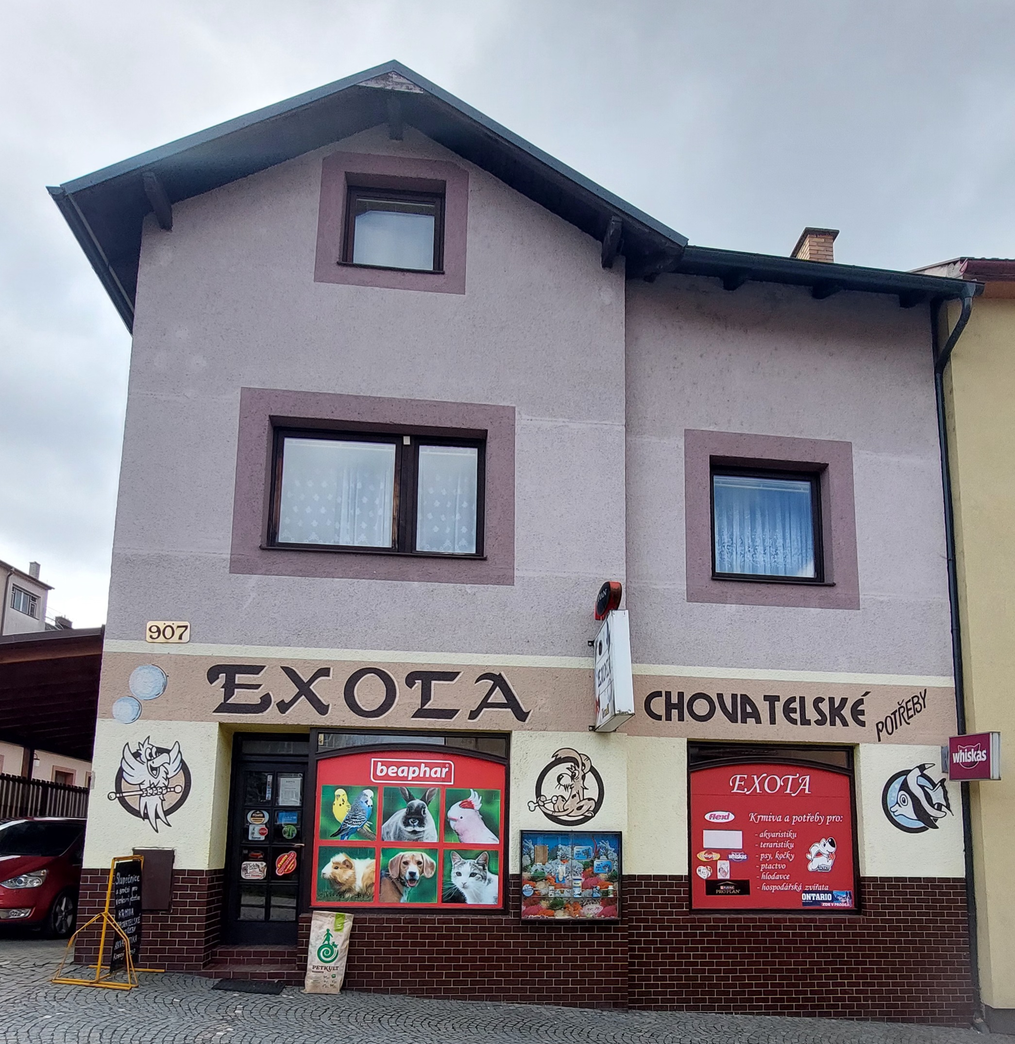 EXOTA foto 2