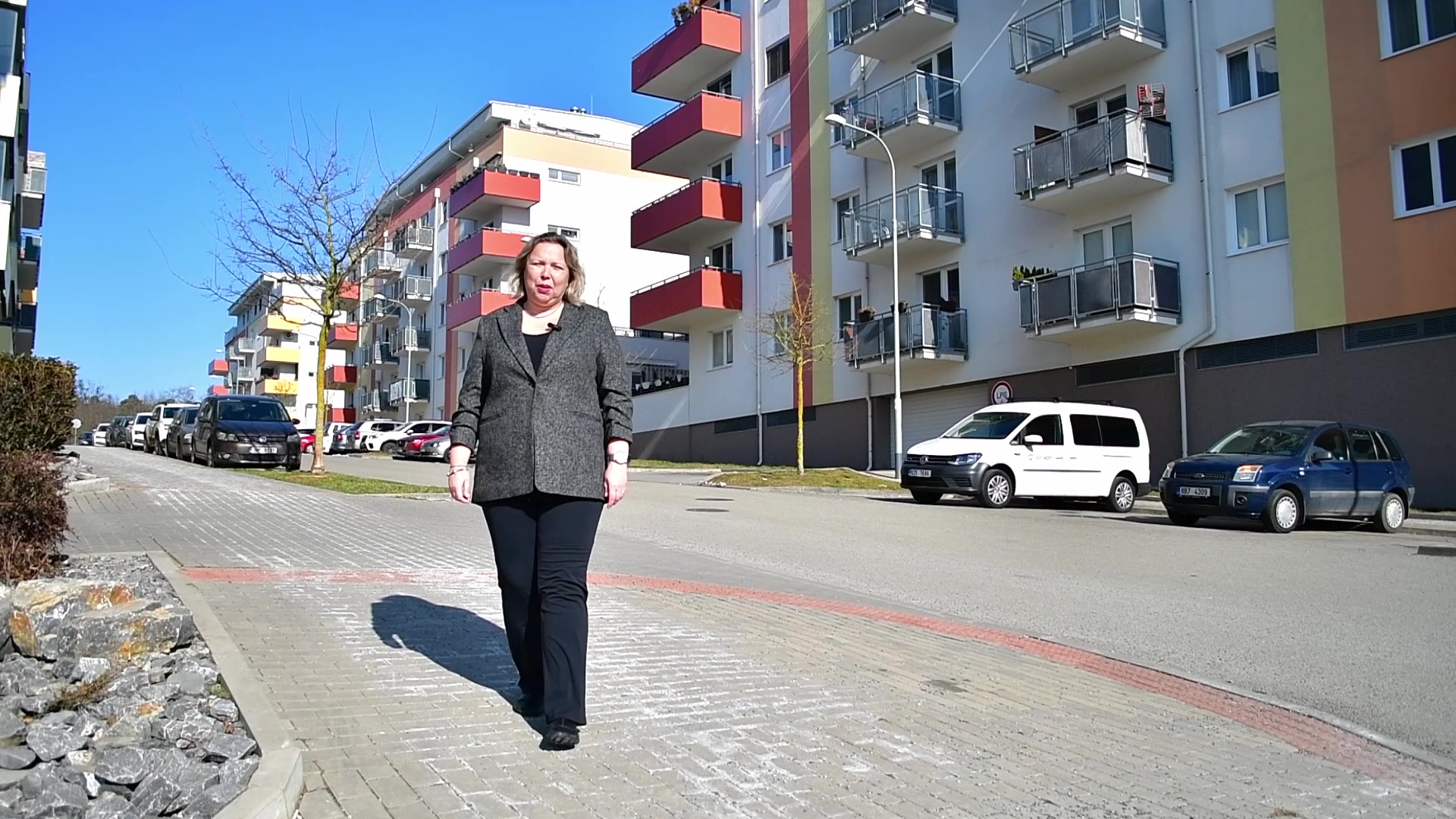 Věra Heřmánková foto 1 (náhled videa)