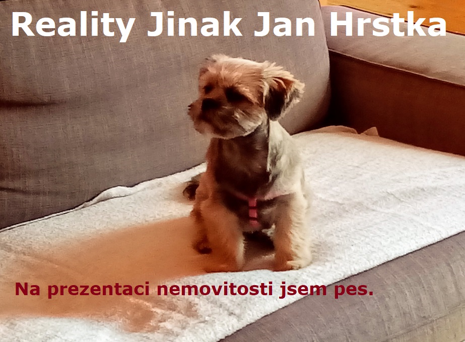 Jan Hrstka Reality jinak foto 4