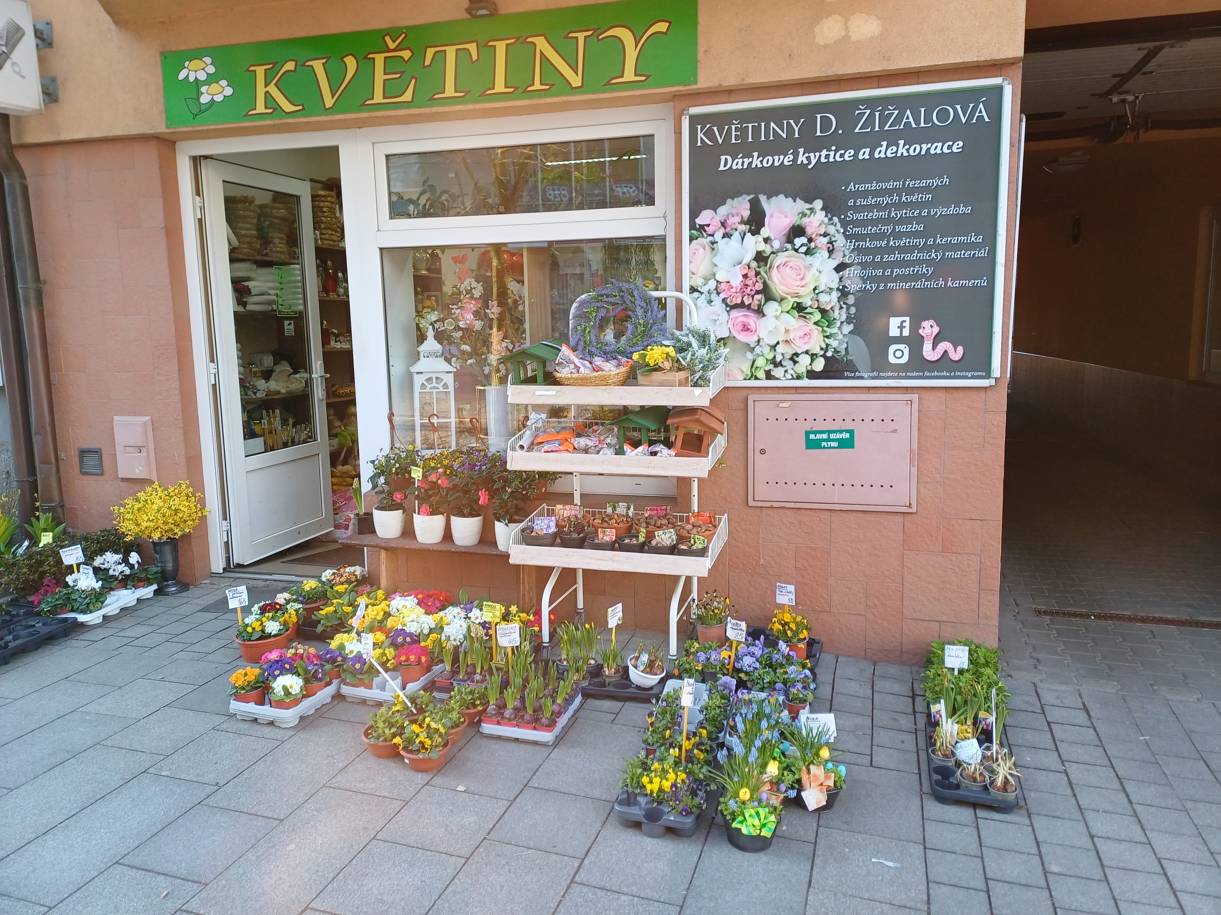 KVĚTINY - Dagmar Žížalová foto 2