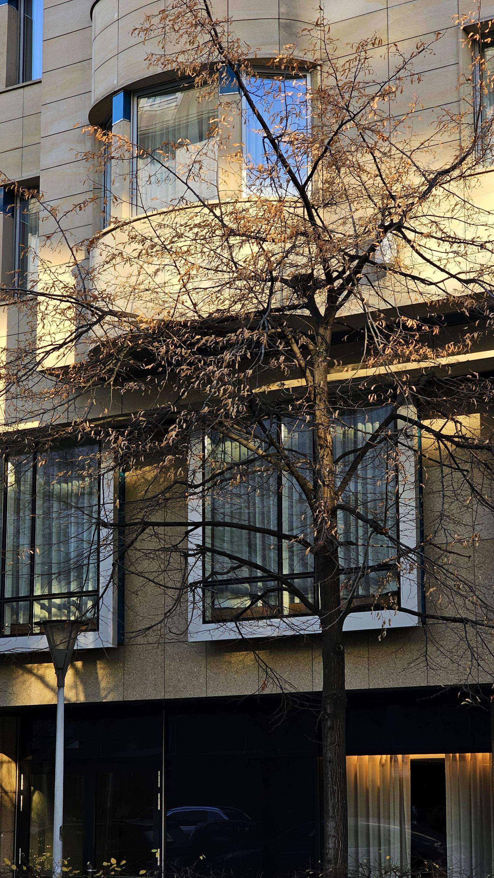 Marriott Hotel Prague foto 5