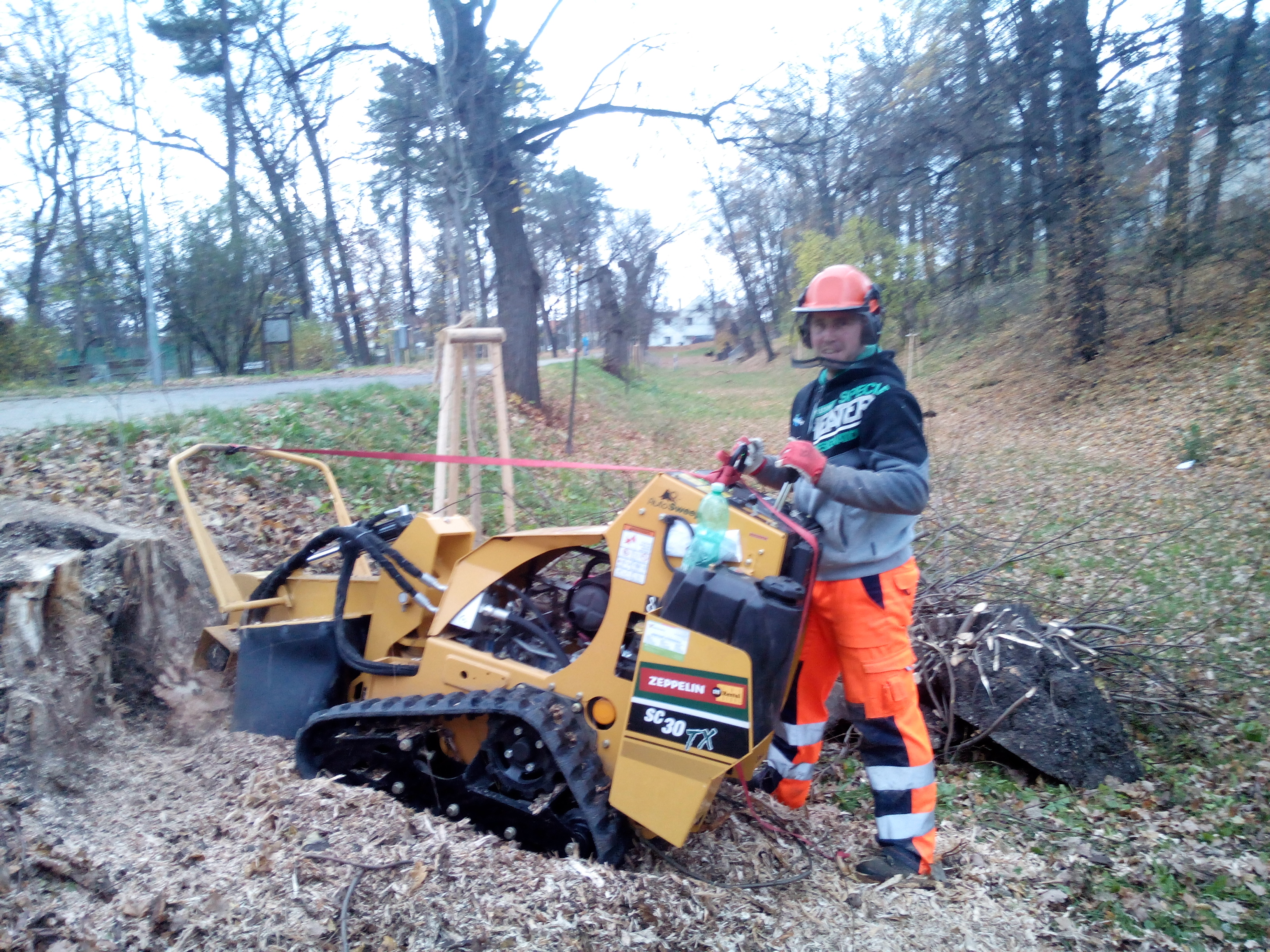 Jiří Petřík - rizikové kácení stromů foto 2