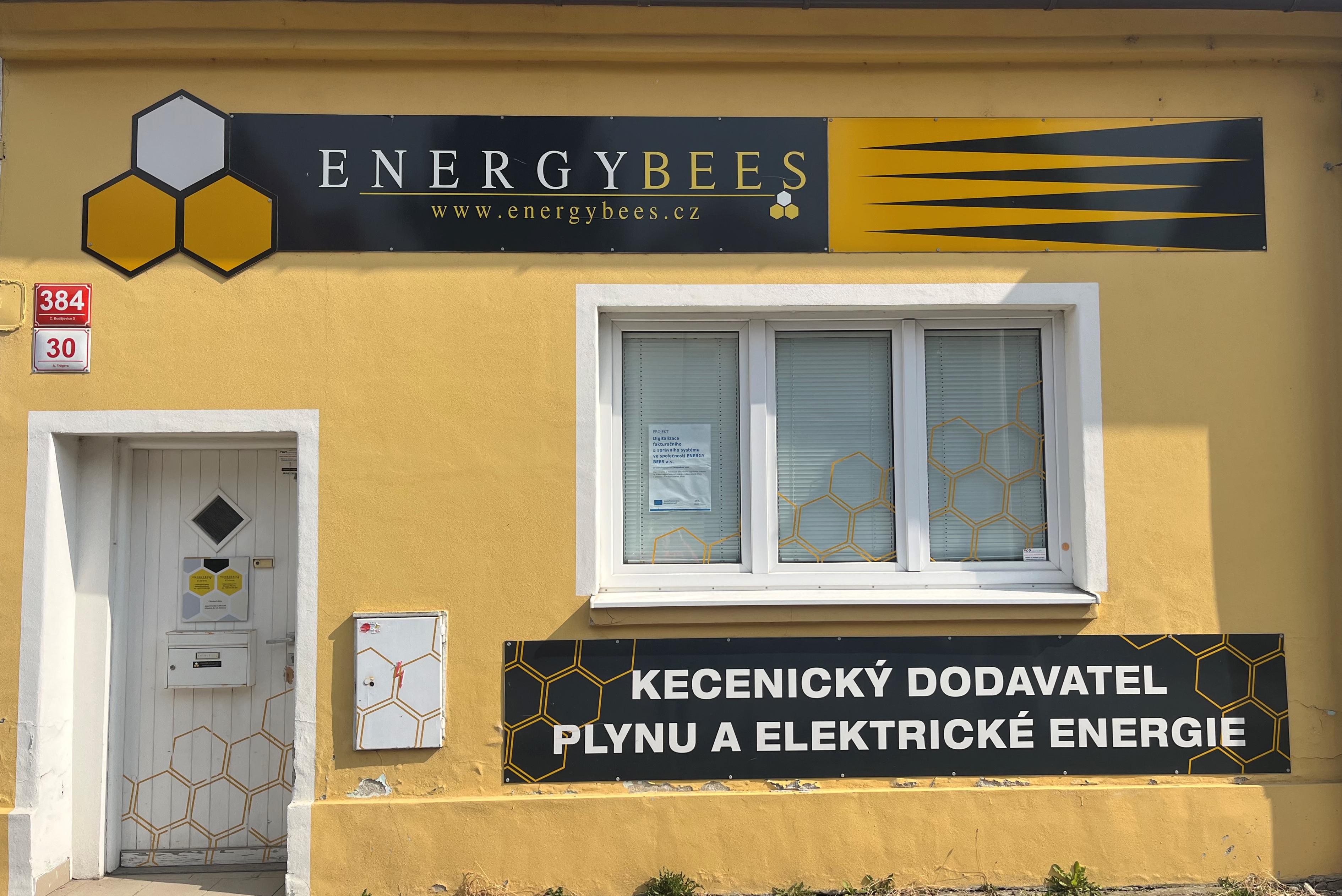 ENERGY BEES